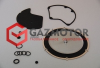315 LPG 005 Ремкомплект редуктора электронного управления BRC TECNO (O.E.M.02RR00601000) LPG,CENTAURO (Италия)